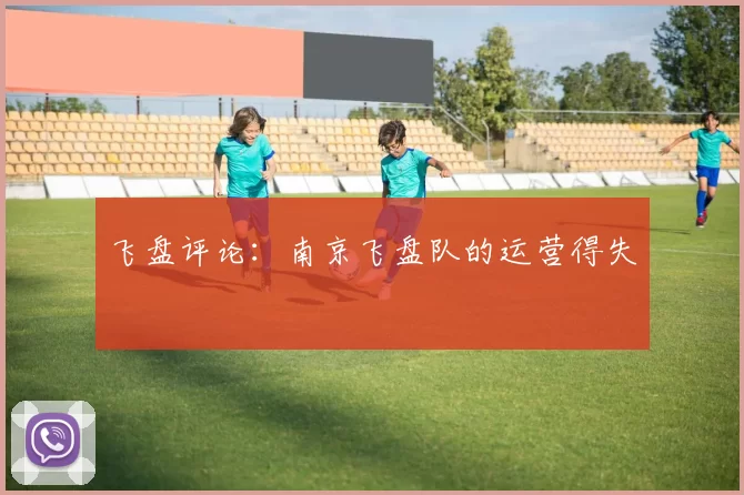飞盘评论：南京飞盘队的运营得失