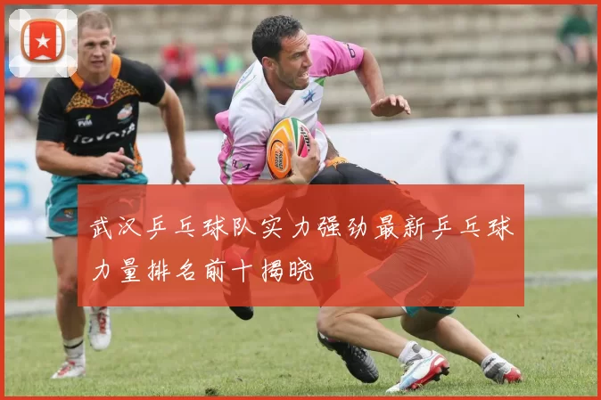 武汉乒乓球队实力强劲最新乒乓球力量排名前十揭晓