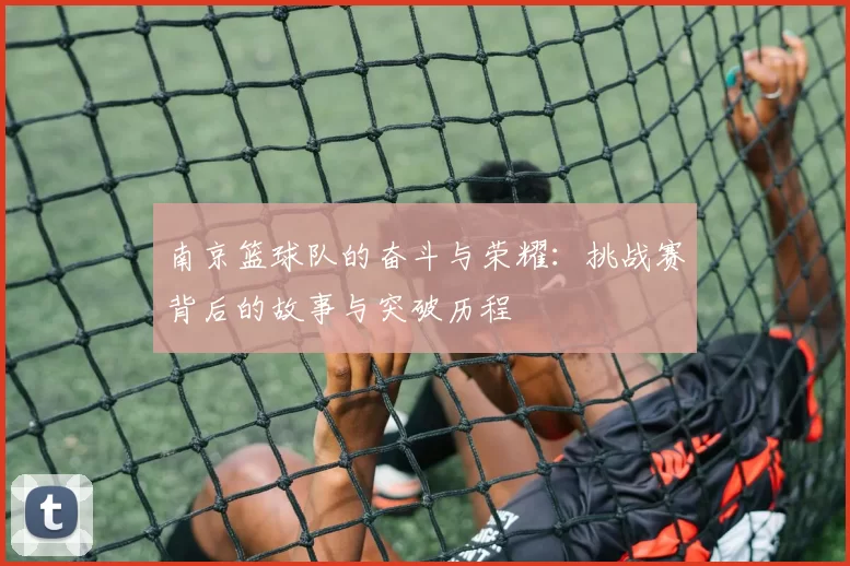 南京篮球队的奋斗与荣耀：挑战赛背后的故事与突破历程