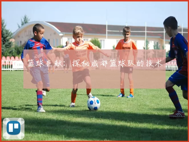 篮球巨献：探秘成都篮球队的技术